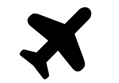Flight Icon